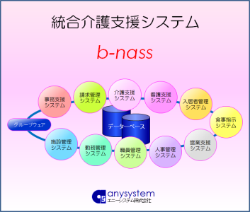 統合介護支援システム「b-nass」